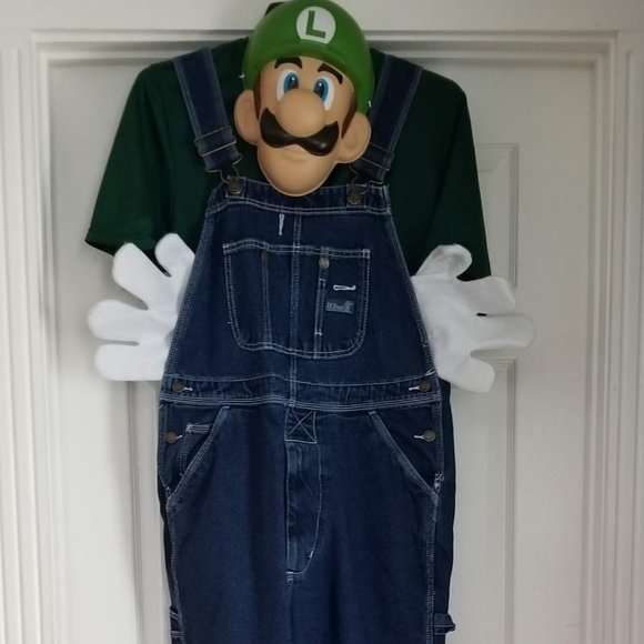 Champion Other - Luigi Costume